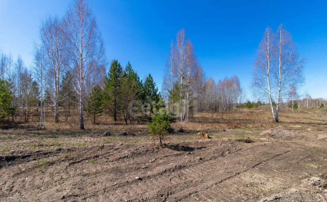 земля р-н Нижнетавдинский снт Березка Тюмень фото 1