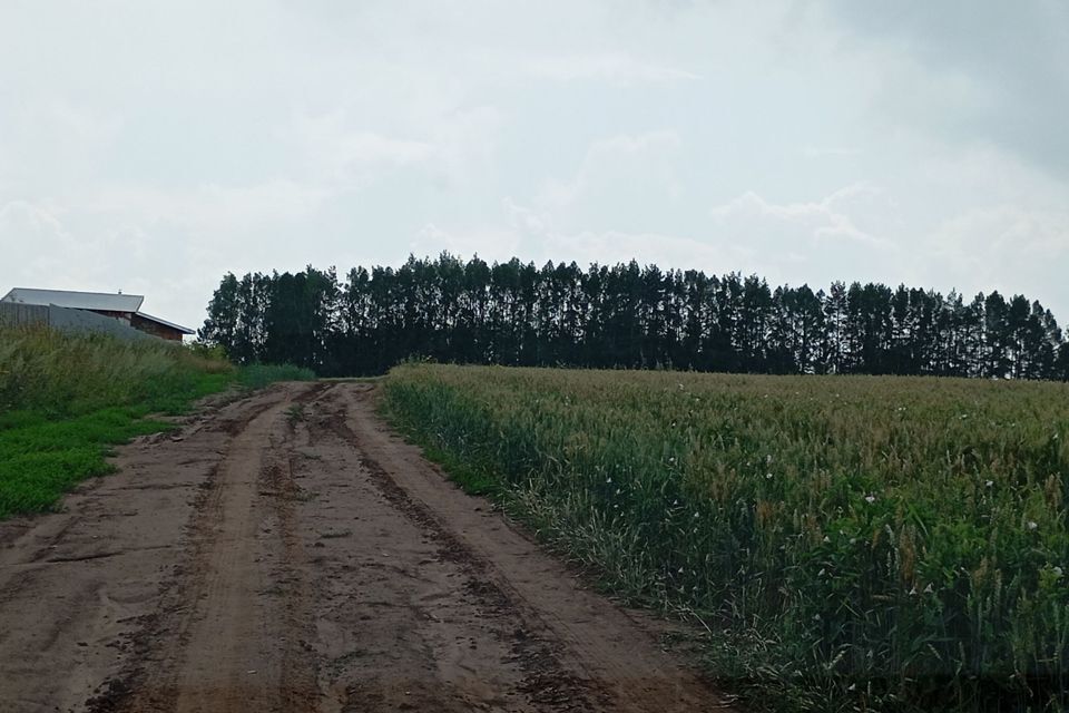 земля Чайковский городской округ, д. Гаревая фото 3