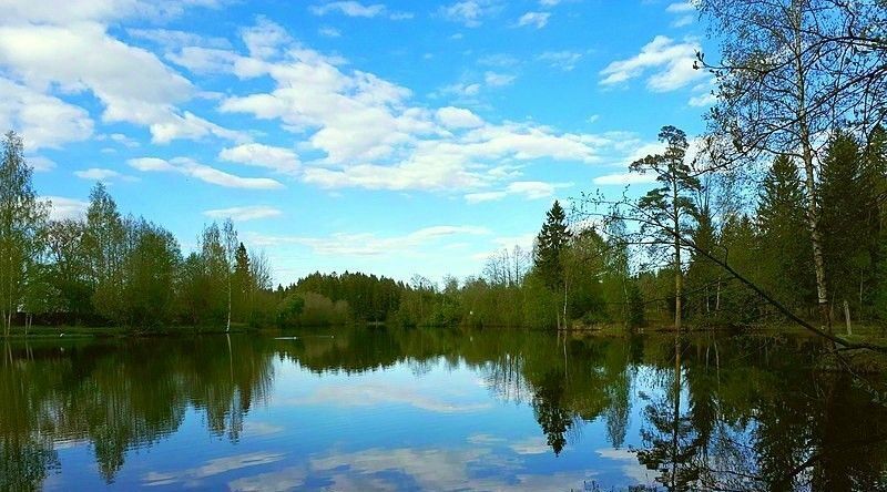 земля р-н Всеволожский д Вартемяги ул Планерная 28 Агалатовское с/пос фото 16