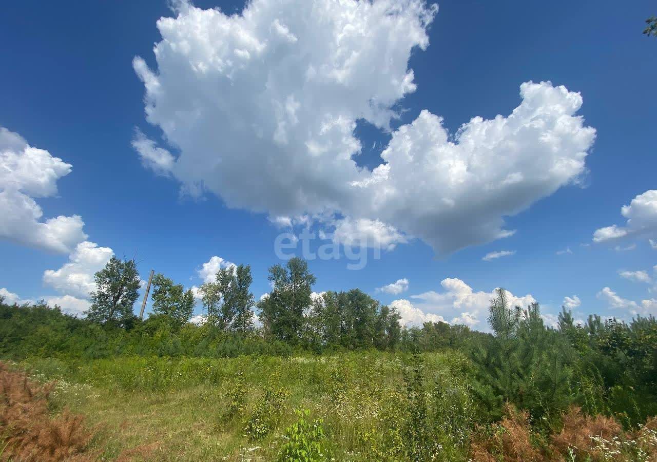 земля г Старый Оскол лес Горняшка фото 9