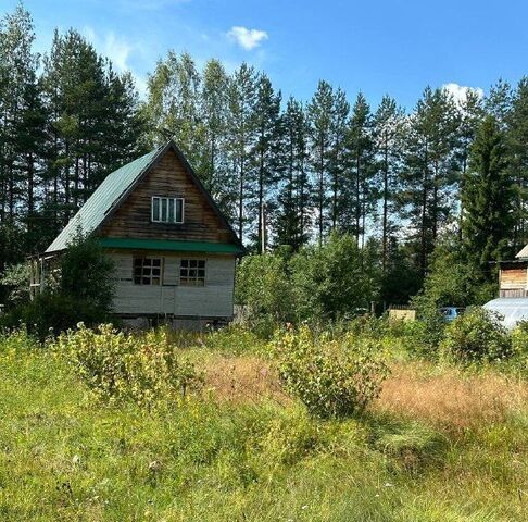 Тихвинское городское поселение фото