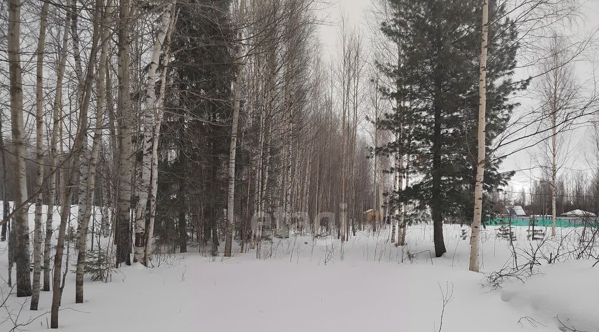 земля г Ханты-Мансийск снт Белка СОТ фото 9