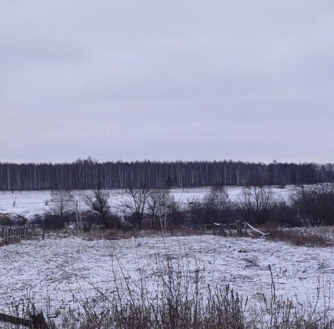 ул Липовская Мичуринский муниципальный округ фото