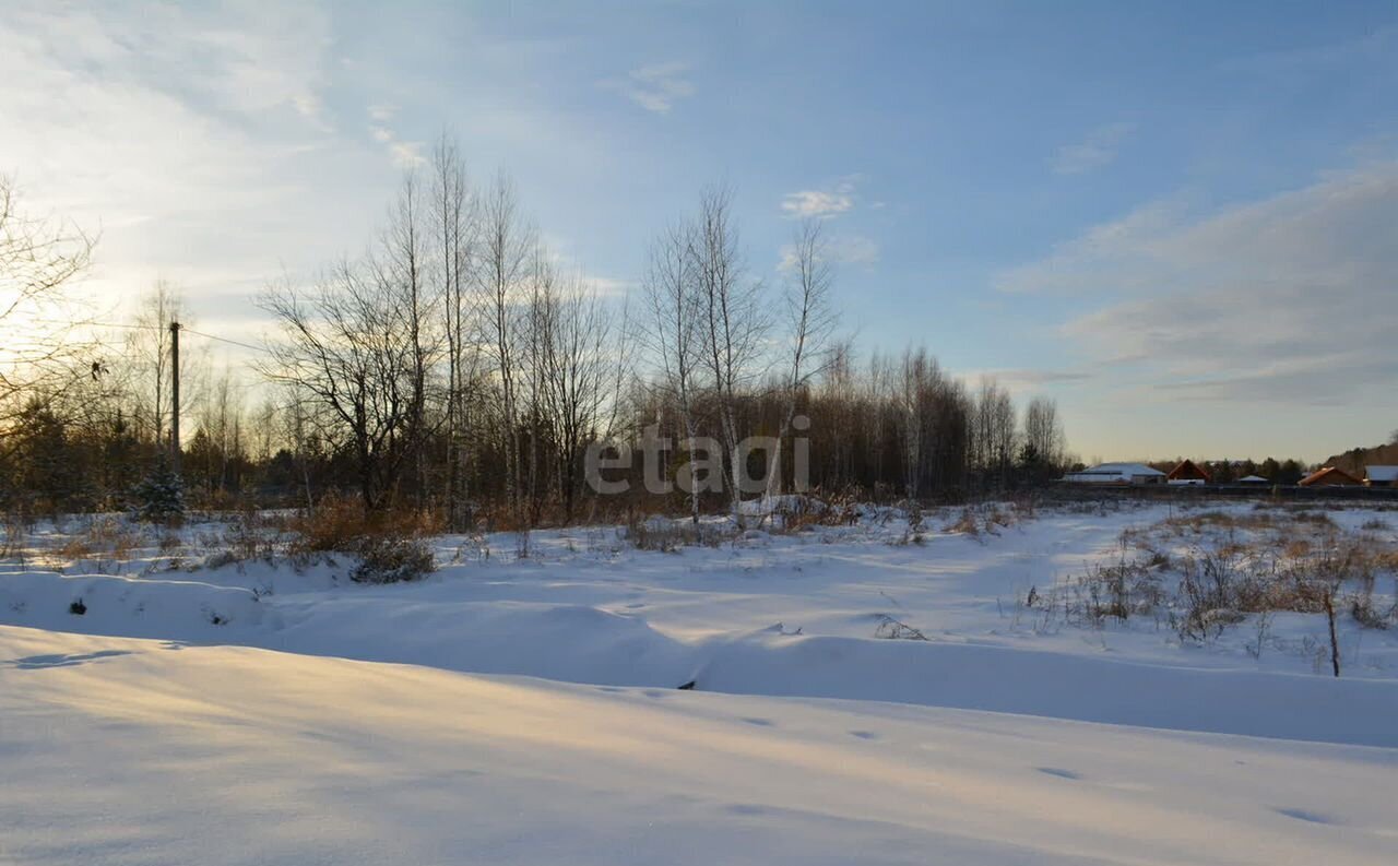 земля р-н Нижнетавдинский снт Геолог-2 Тюмень фото 7