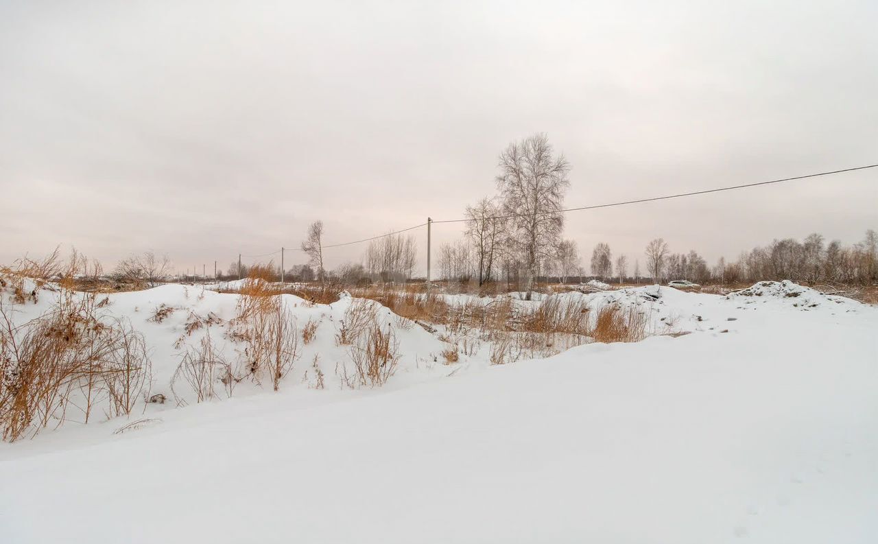 земля г Тюмень р-н Центральный 7-й км Велижанского тракта фото 11