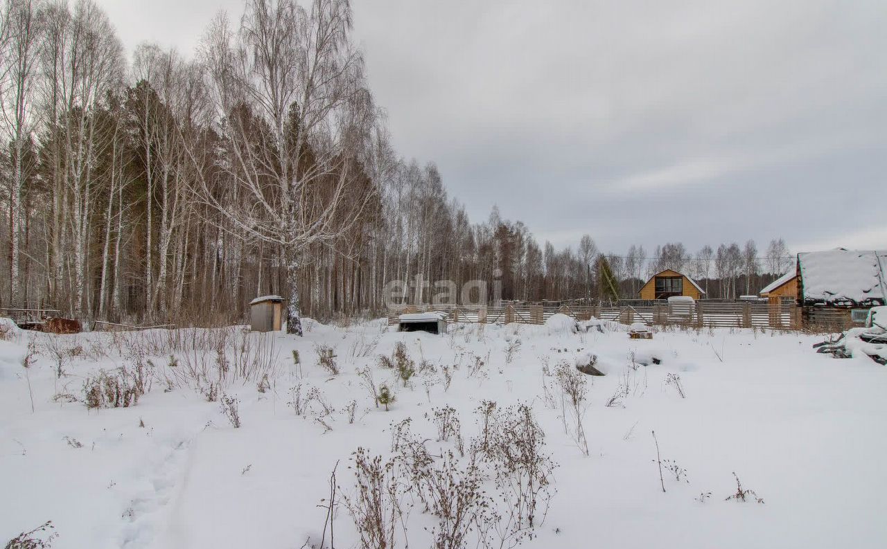 земля г Тюмень снт Сосенка ул Сосновая фото 9