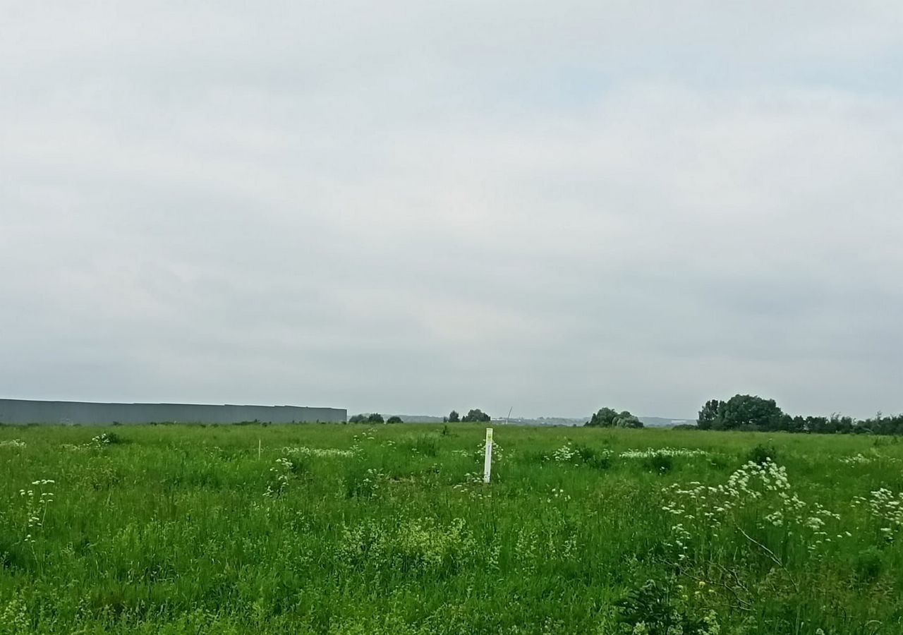 земля городской округ Раменский с Софьино 28 км, Раменское, Рязанское шоссе фото 3