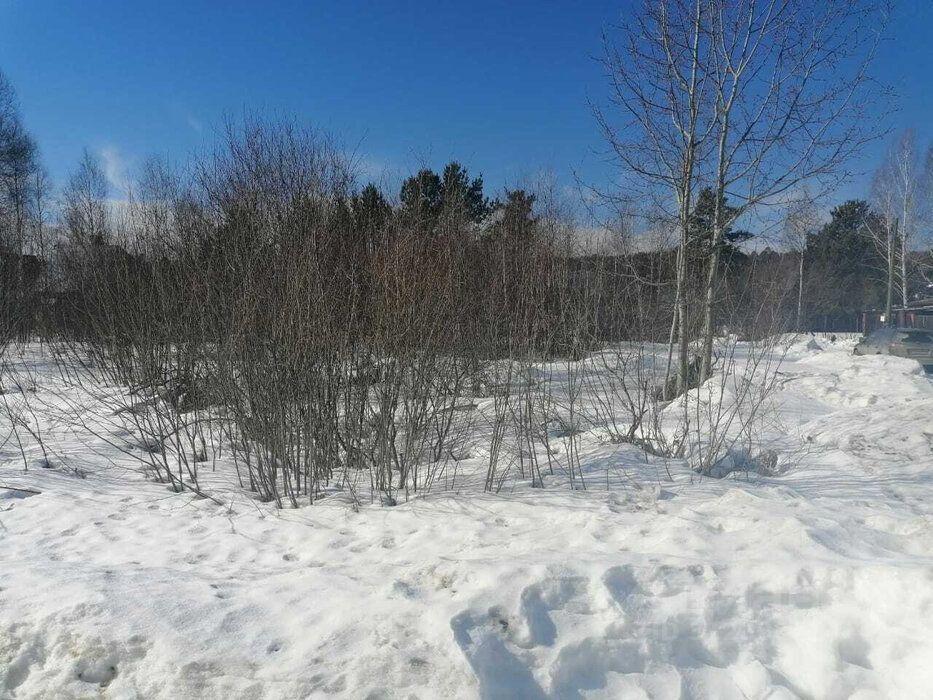 земля р-н Выборгский снт Сокол Советское городское поселение фото 2