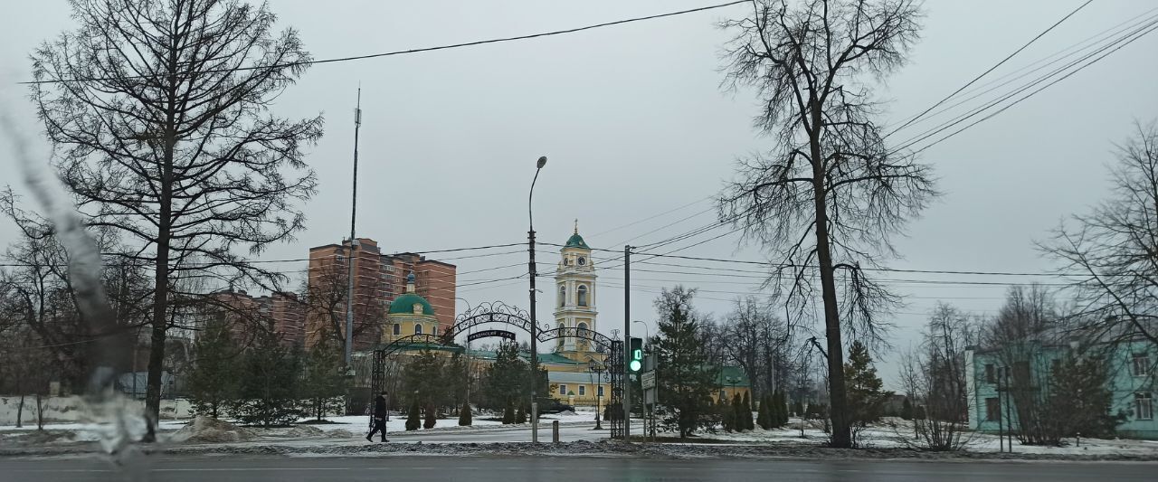 земля г Лосино-Петровский ул Родниковая фото 8