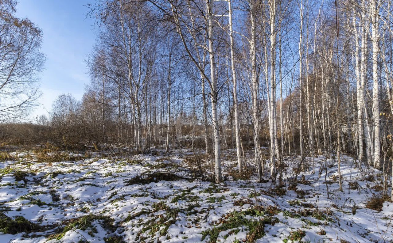 земля р-н Тюменский снт Промстроевец ул Васильковая Боровский фото 8