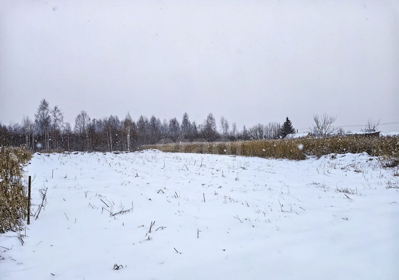 земля г Тюмень р-н Центральный снт Липовый остров Тюмень, 13-я Восточная ул фото 6