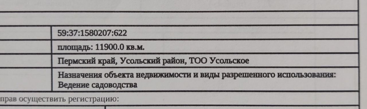 земля р-н Усольский с Пыскор муниципальное образование Березники, Березники фото 3