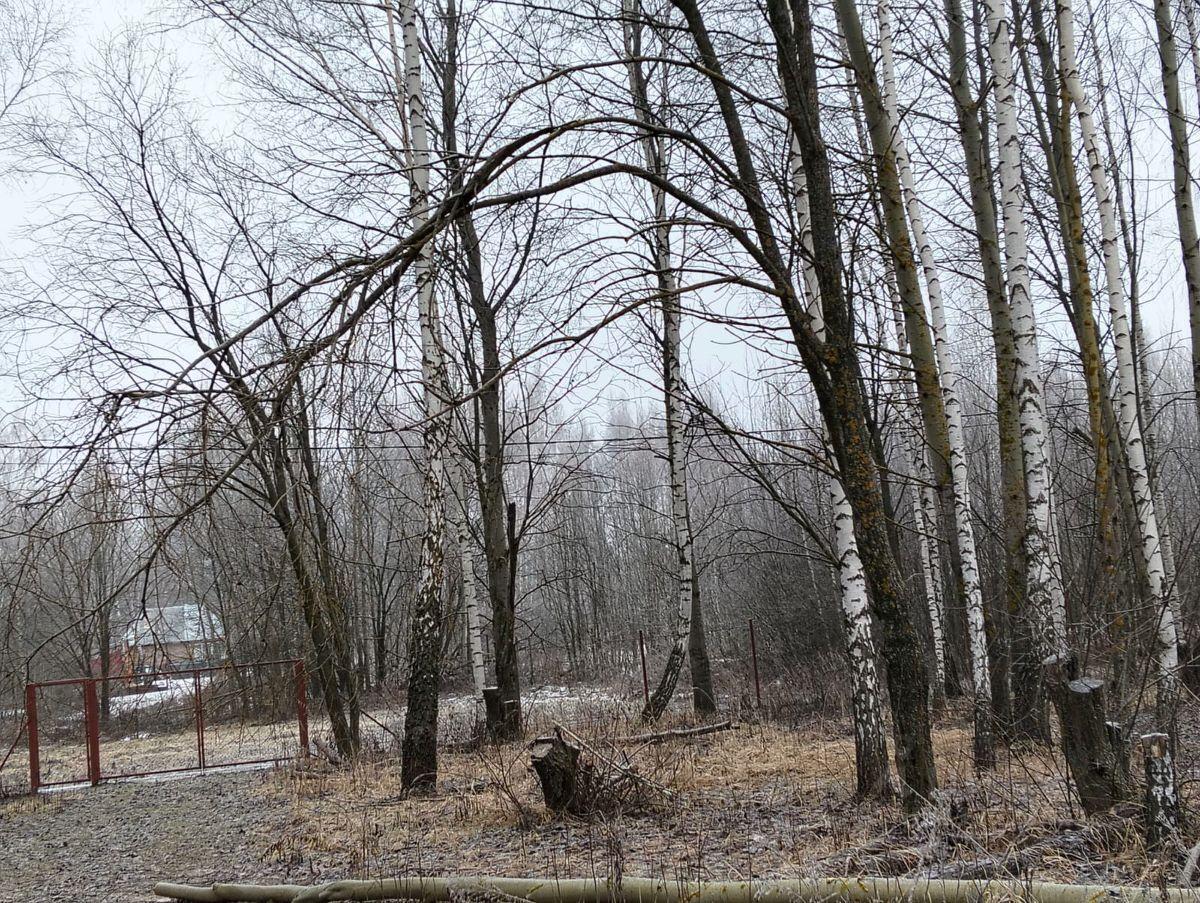 земля городской округ Серебряные Пруды д Красновские Выселки снт Лобаново 242 фото 1