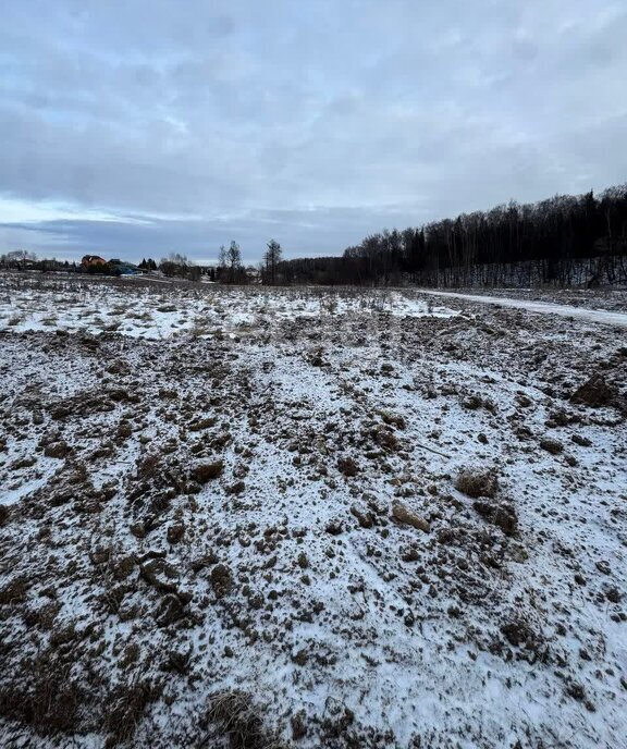 земля г Подольск д Пузиково фото 2