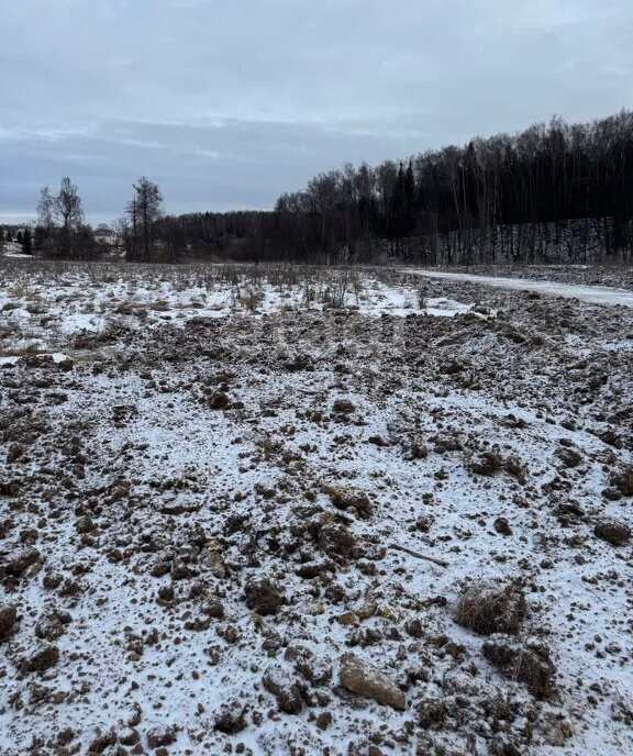 земля г Подольск д Пузиково фото 4