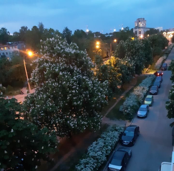 квартира г Санкт-Петербург метро Новочеркасская ул Большая Пороховская 41 фото 9