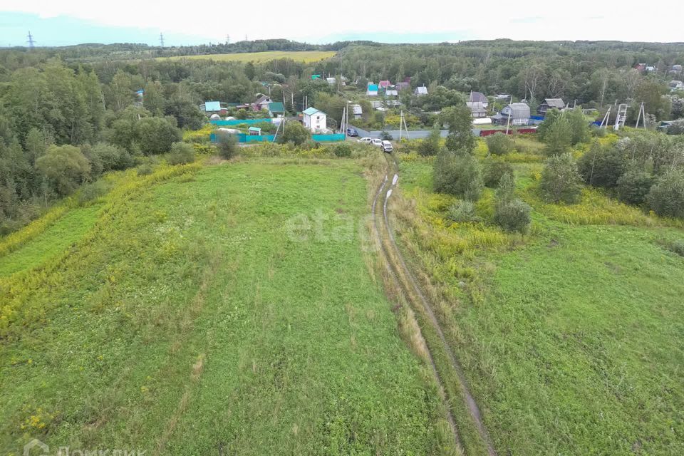 земля р-н Хабаровский село Матвеевка фото 3