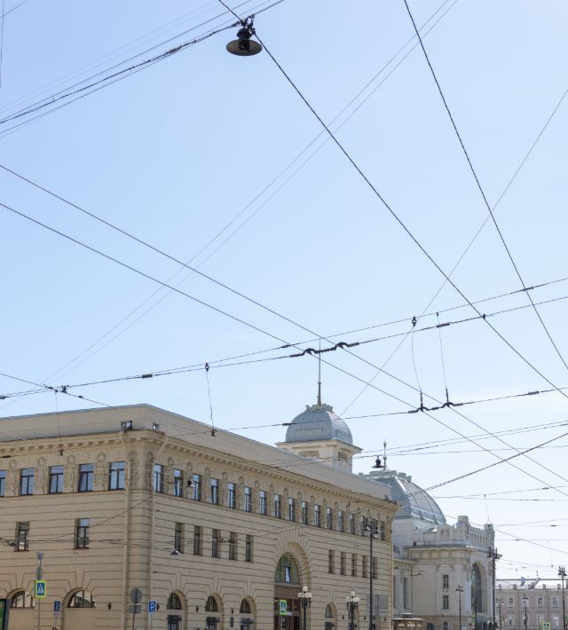 квартира г Санкт-Петербург метро Пушкинская пер Большой Казачий 10 округ Семёновский фото 16