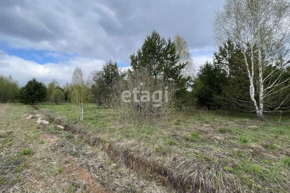 дом р-н Воткинский починок Никольский ул Пасечная 11 фото 7