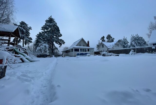 городской посёлок Вырица, улица Бакунина фото