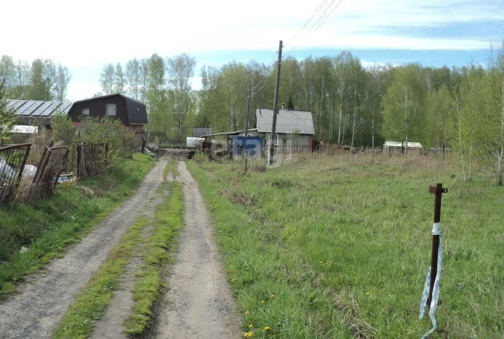 земля р-н Новосибирский Берёзовский сельсовет, СНТ Аист фото 5