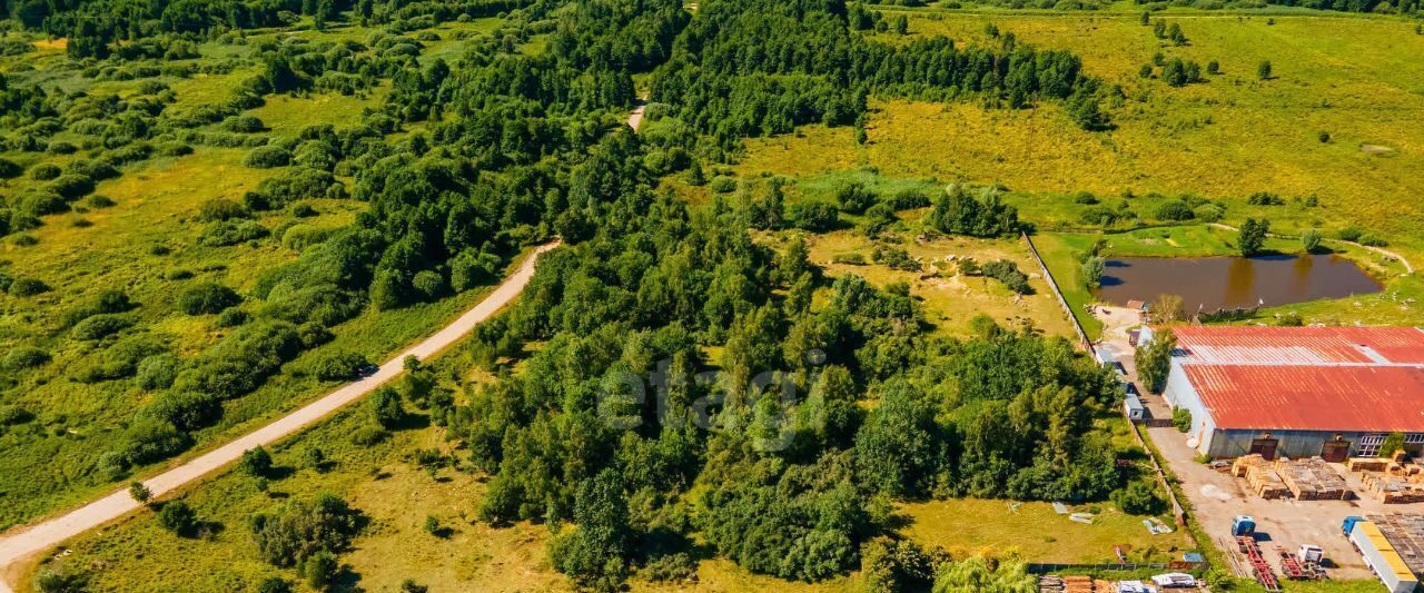 земля г Светлый п Волочаевское ул Центральная Светловский городской округ фото 10