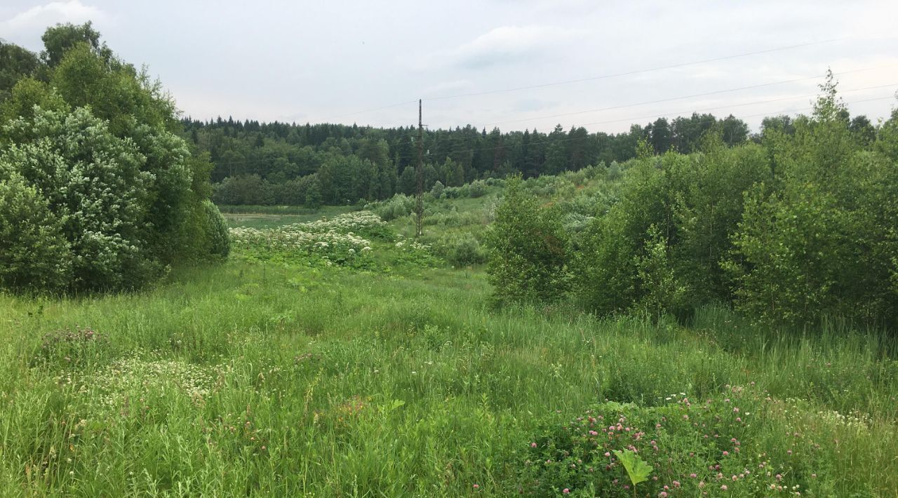 офис городской округ Сергиево-Посадский д Царевское с пос, Пушкинский городской округ фото 1