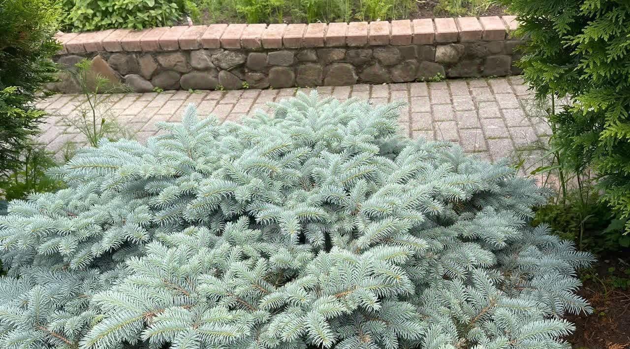 дом г Владивосток р-н Советский ул Главная фото 18