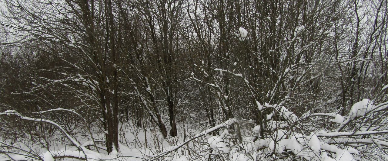 офис городской округ Рузский д Шелковка ш Можайское 12 фото 1