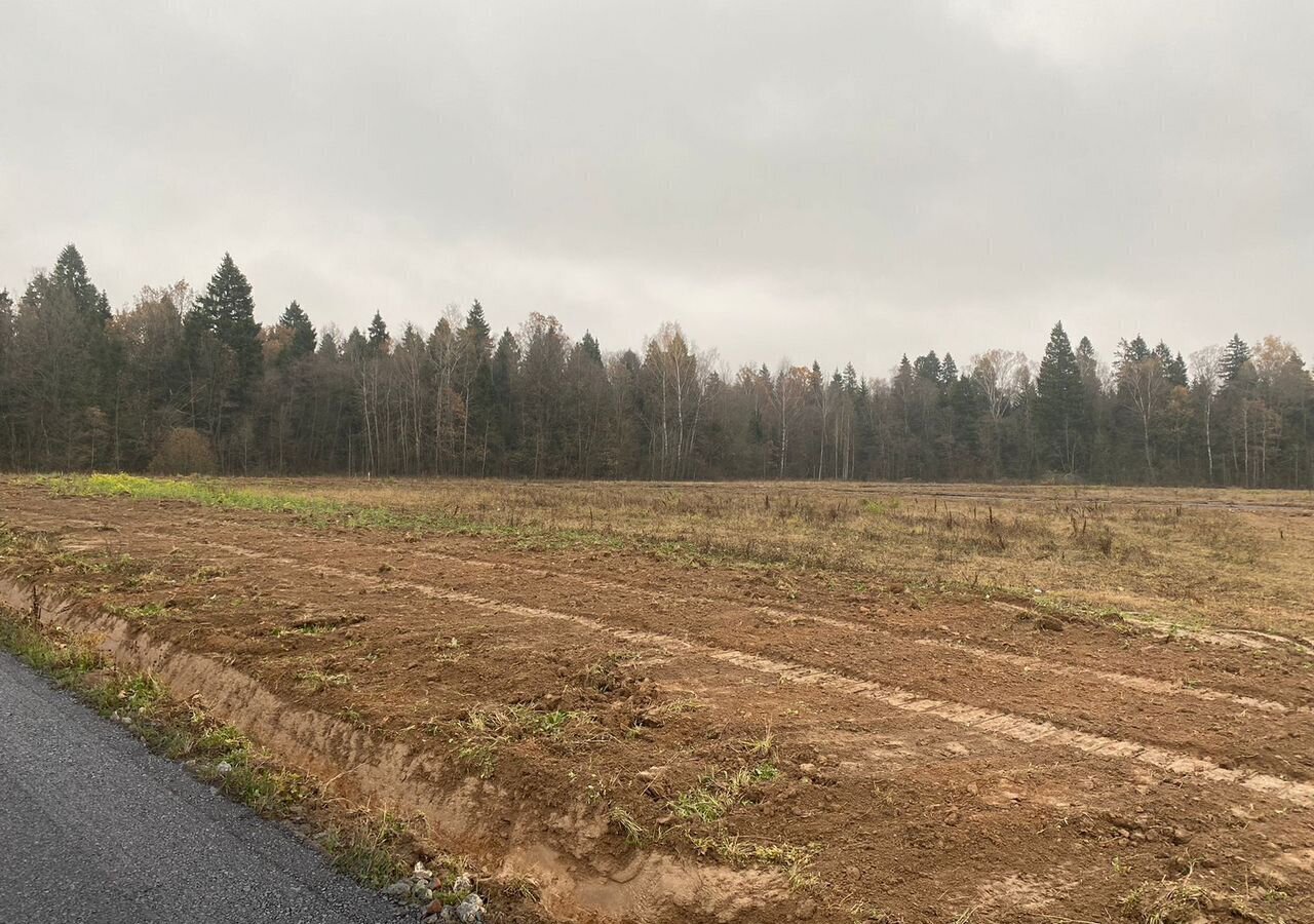 земля г Балашиха д Полтево 20 км, Электроугли, Носовихинское шоссе фото 3