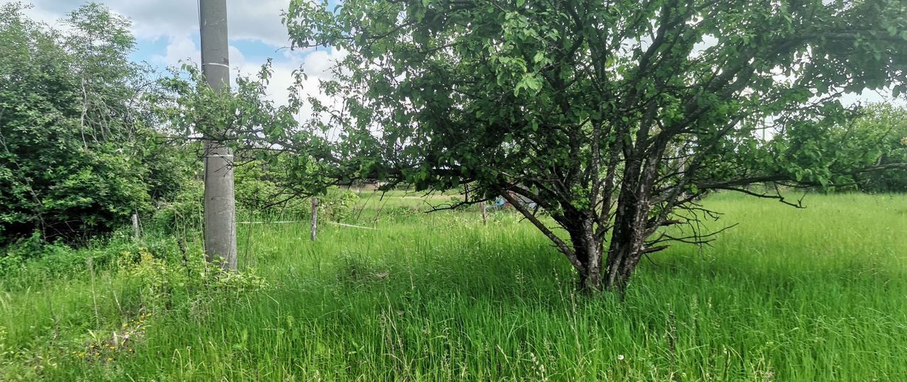 земля р-н Курский снт Рассвет 2 Нижнемедведицкий сельсовет, Курск фото 3