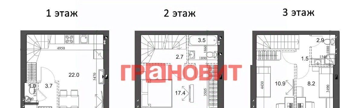 дом р-н Новосибирский п Элитный р-н мкр Березки сельсовет, 183, Мичуринский фото 2