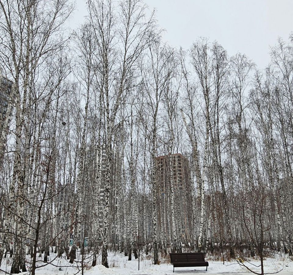 квартира г Челябинск р-н Центральный пр-кт Героя России Родионова Е.Н. 12 фото 24