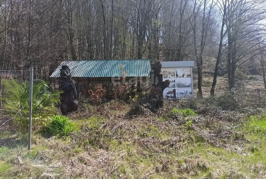 земля г Сочи р-н Адлерский с Калиновое Озеро с Илларионовка р-н Адлерский с Калиновое Озеро фото 4