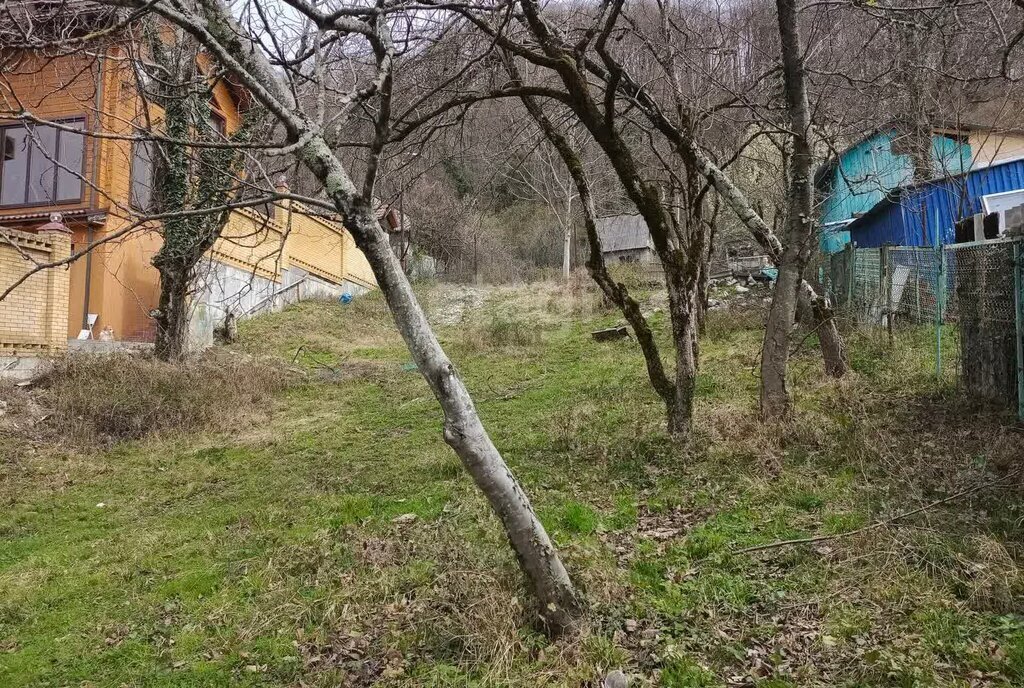 земля г Сочи с Илларионовка р-н Адлерский с Галицыно снт Строитель СУ-2 фото 8