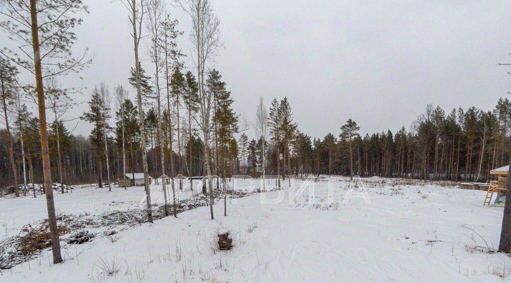 земля р-н Нижнетавдинский с Тюнево ул Радужная фото 5