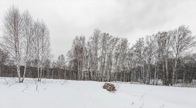 снт Зорька ул Чистые пруды Раздольненский сельсовет фото