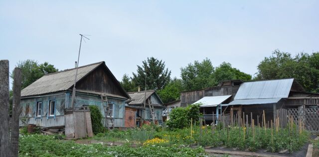 пер Пограничный 1-й 10 Хорское городское поселение фото