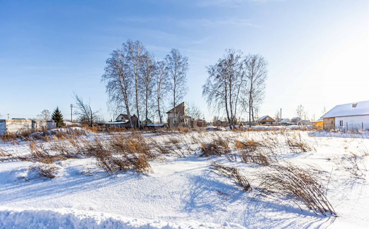 земля г Бердск снт Слава ул 3-я Бердское шоссе фото 11