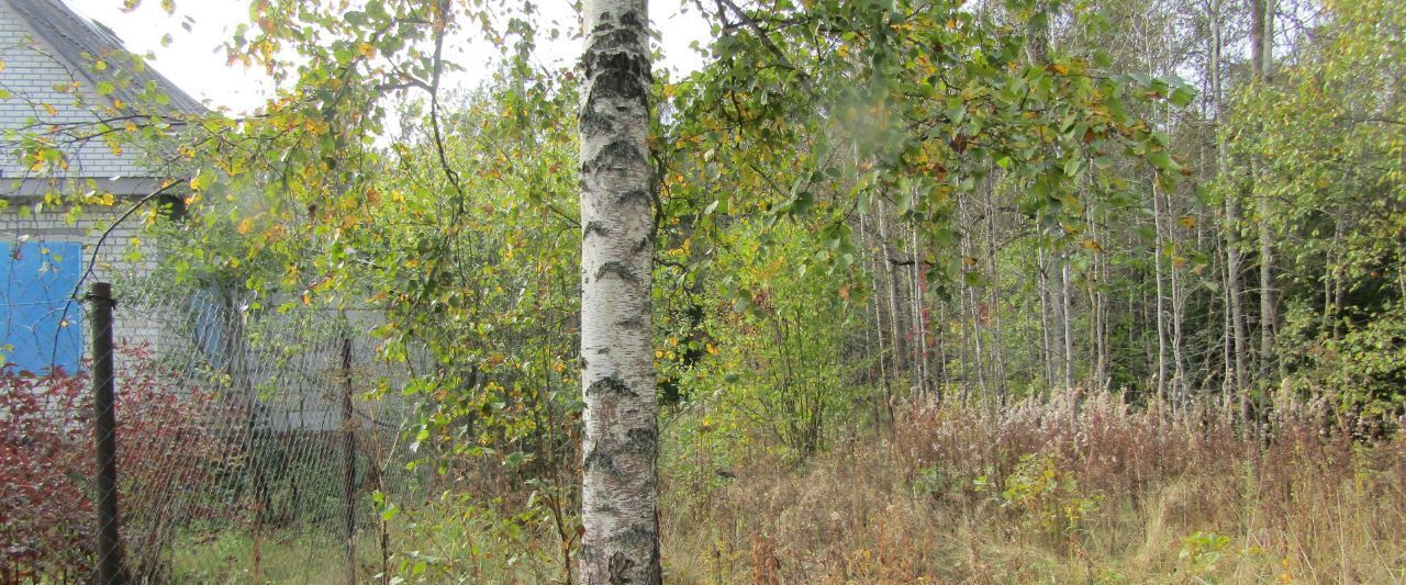 офис городской округ Рузский п Тучково ул Силикатная фото 1