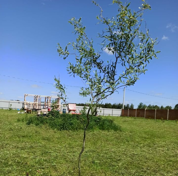 земля городской округ Можайский д Бурмакино снт Прибрежный-2 ДНП, 3 фото 3