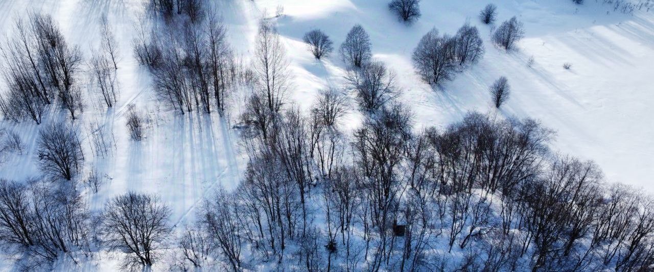 офис городской округ Волоколамский д Золево фото 2