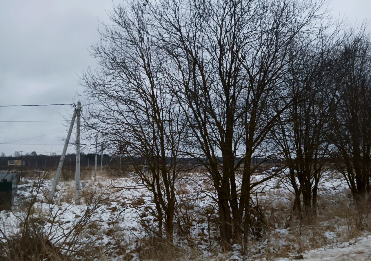 земля городской округ Талдомский с Великий Двор 96 км, Талдом, Дмитровское шоссе фото 2