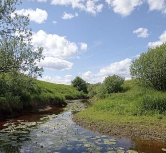 дом р-н Краснокамский с Усть-Сыны ул Пушкина 7 Краснокамский городской округ фото 2