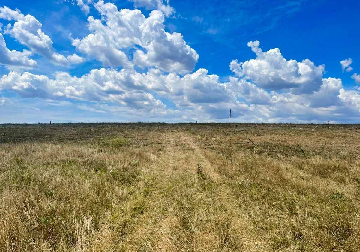 земля р-н Симферопольский с Мирное Мирновское сельское поселение фото 4