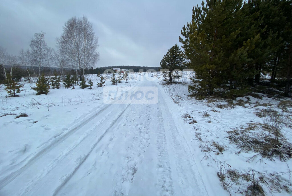 земля р-н Кузнецкий с Ульяновка ул Левая городское поселение Евлашево фото 2