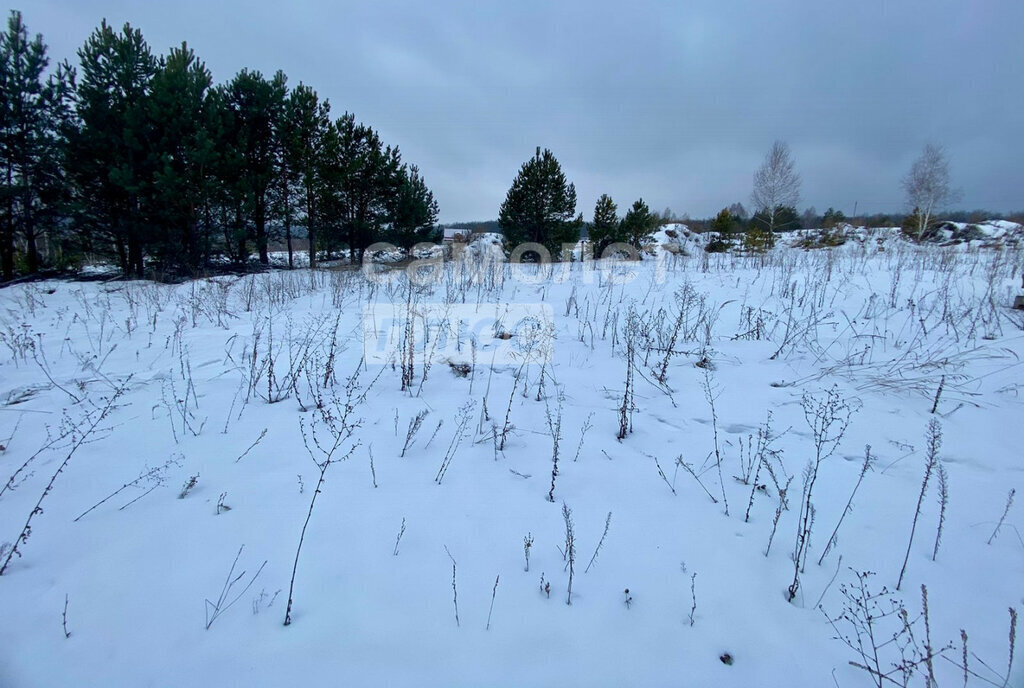 земля р-н Кузнецкий с Ульяновка ул Левая городское поселение Евлашево фото 4