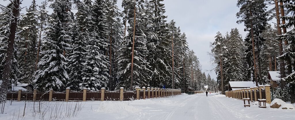 земля р-н Выборгский Приморское городское поселение, садоводческое некоммерческое товарищество Гармония, 158 фото 7