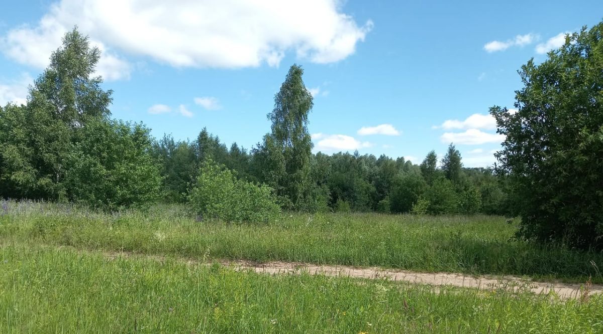 земля р-н Богородский д Бурцево ул Солнечная 11 фото 12