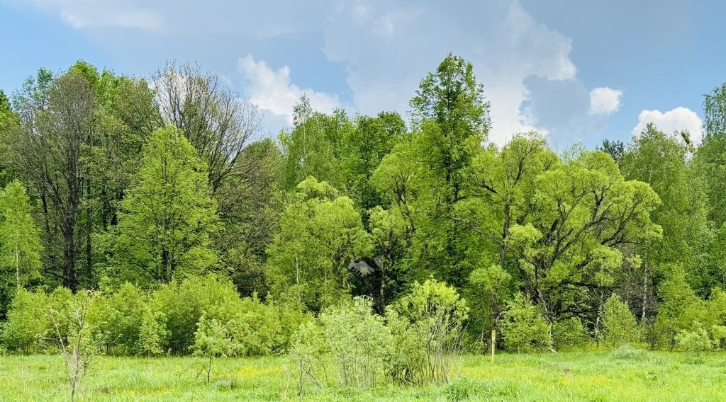 земля р-н Дзержинский д Бели с пос, Старки фото 1